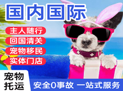 伊春航空物流国际宠物托运 【国
